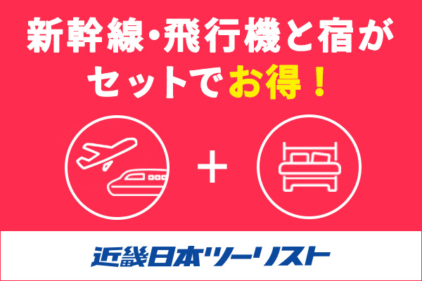 近畿日本ツーリストが提供する国内ツアー・国内宿泊サービスのオンライン予約プログラムです。会員登録不要 、そのうえ当日現地払い・事前払いが選べます。