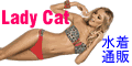 AAAhX̔̔ Lady Cat