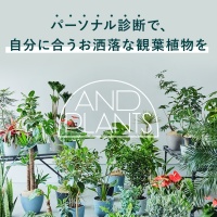 観葉植物・お花のオンラインストア【AND PLANTS(アンドプランツ)】