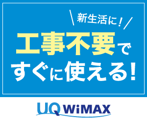 WiMAX banner